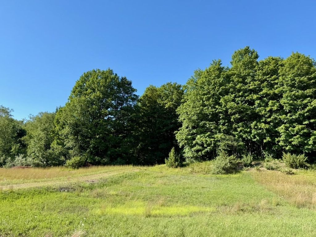 00 Alden Meadows Dr, Helena township