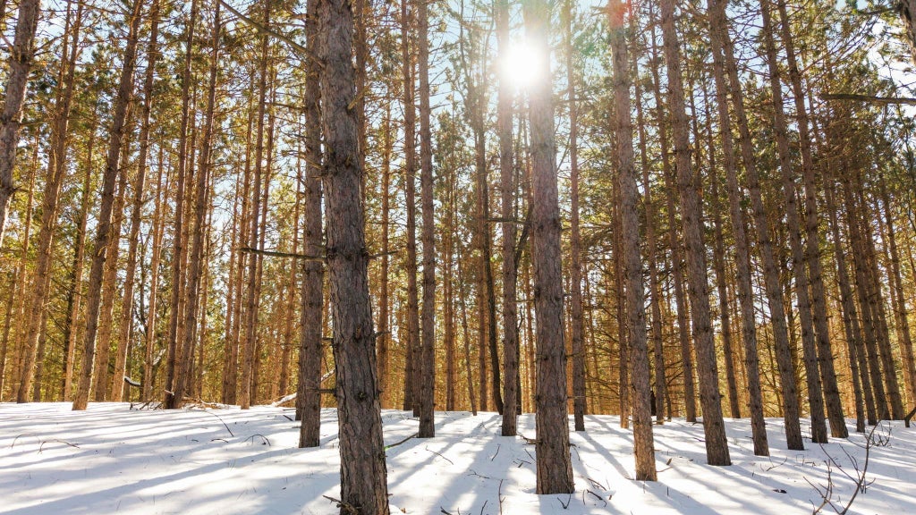 4811 Truax Lake, Whitewater township