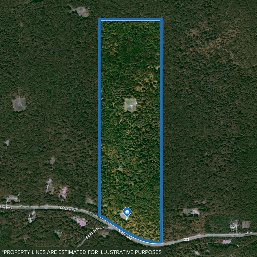 2370 Alden Hwy, Custer township