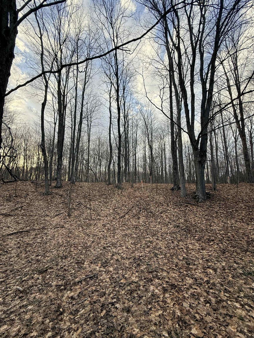 1208 S Ridge Ct, Blair township