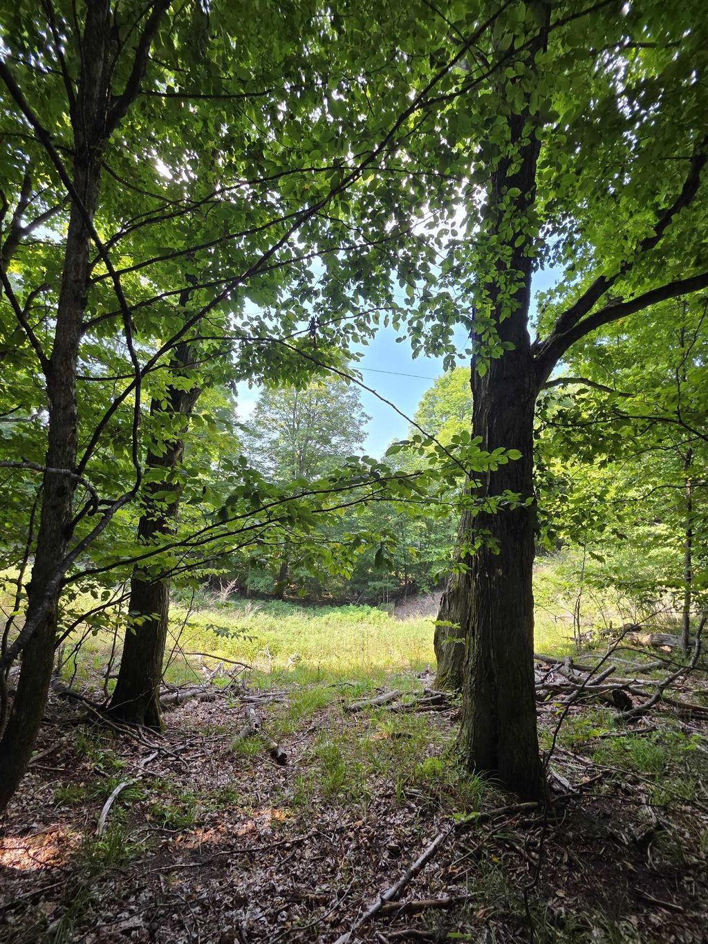 Vl Ranch, Kearney township