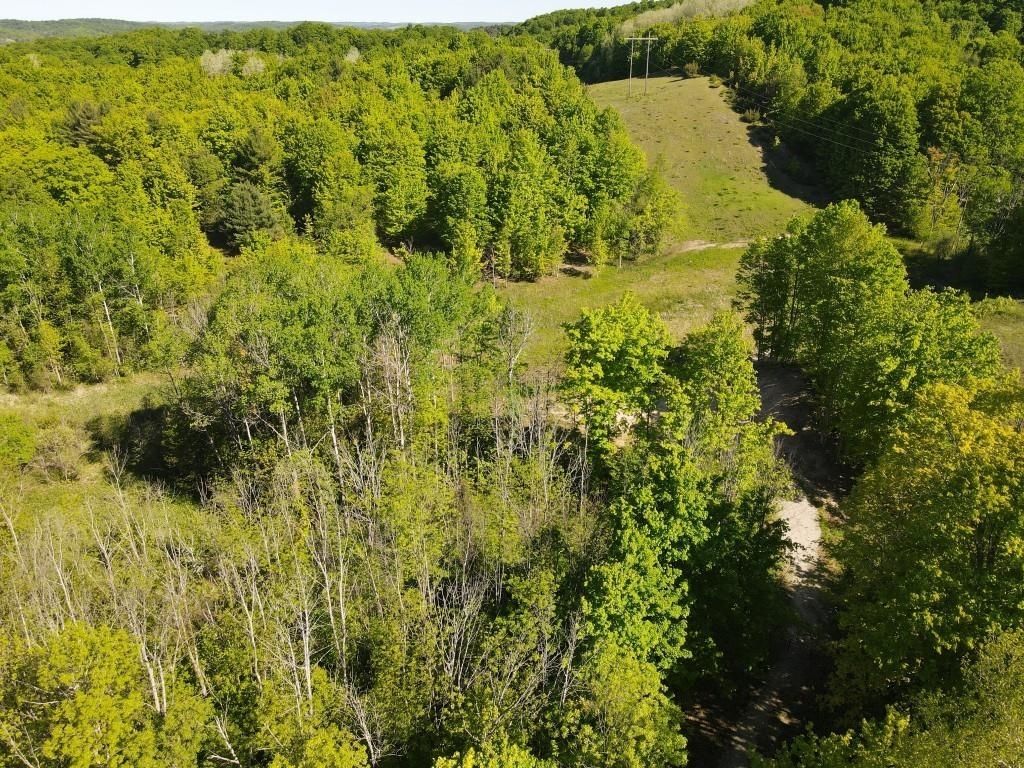 Tbd Pesek, South Arm township