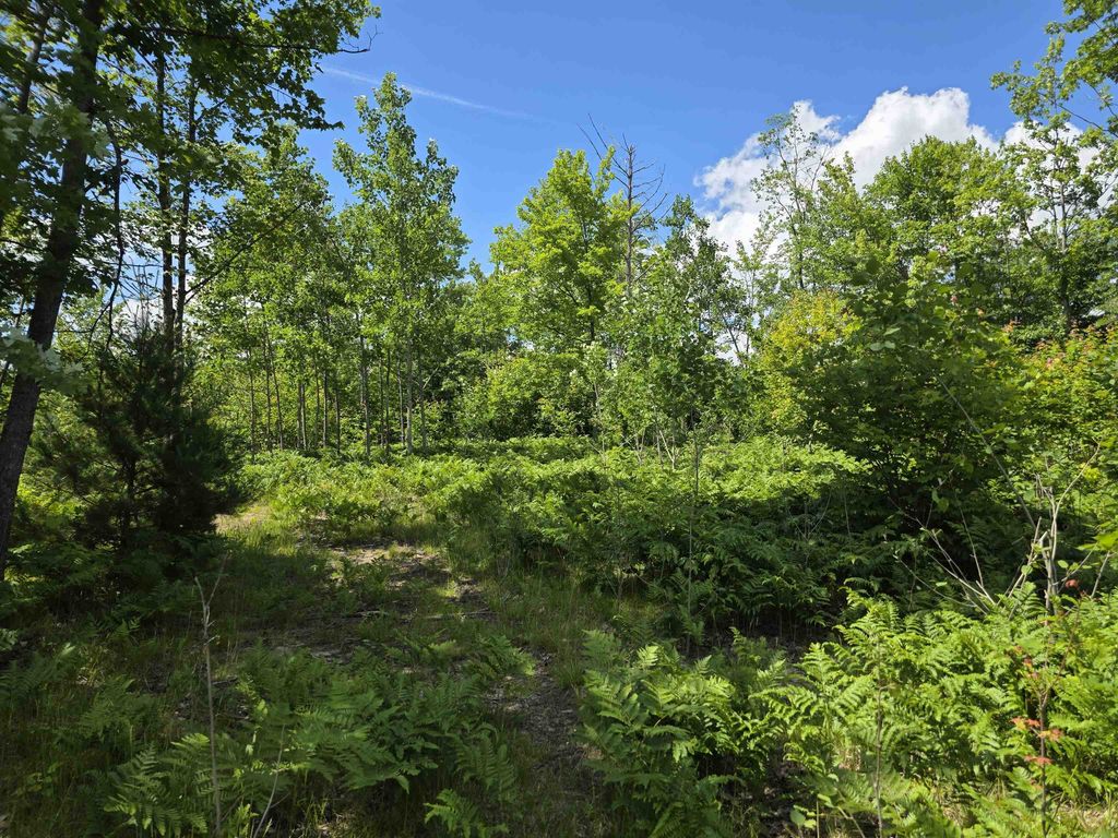 80 Vl Mackinaw, Haring charter township
