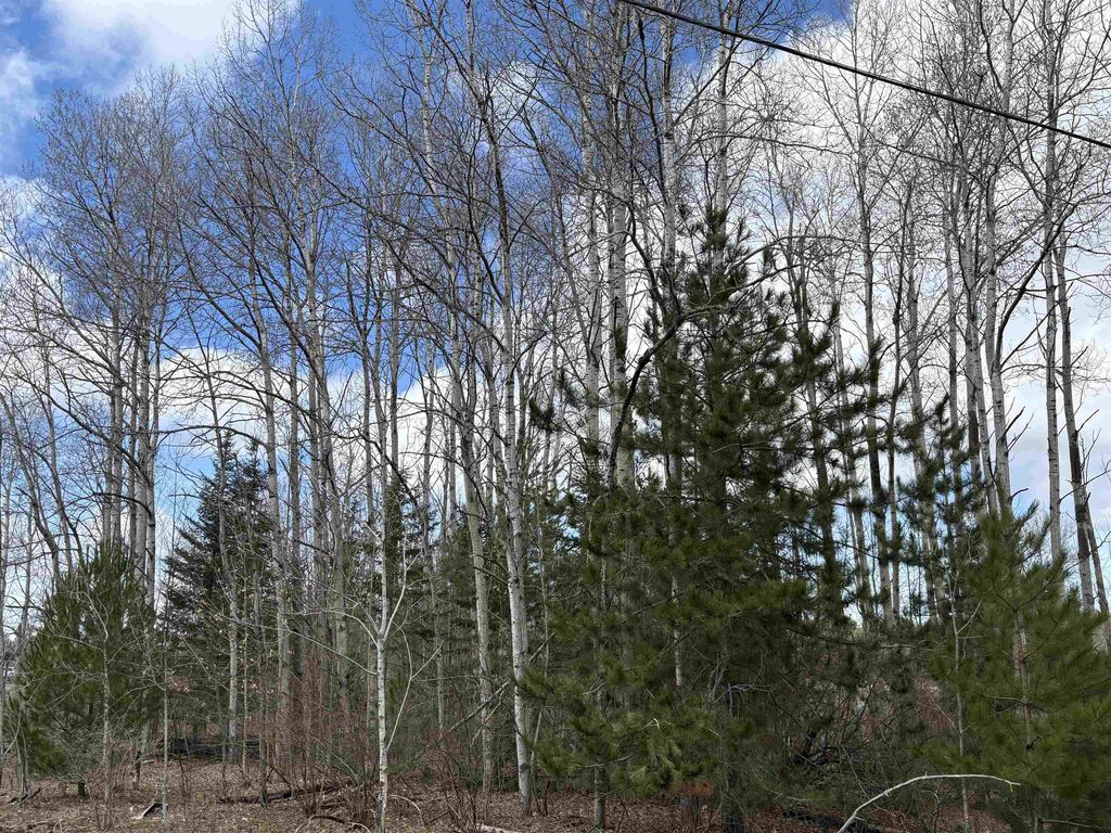 2450 N Marshall, Benzonia township