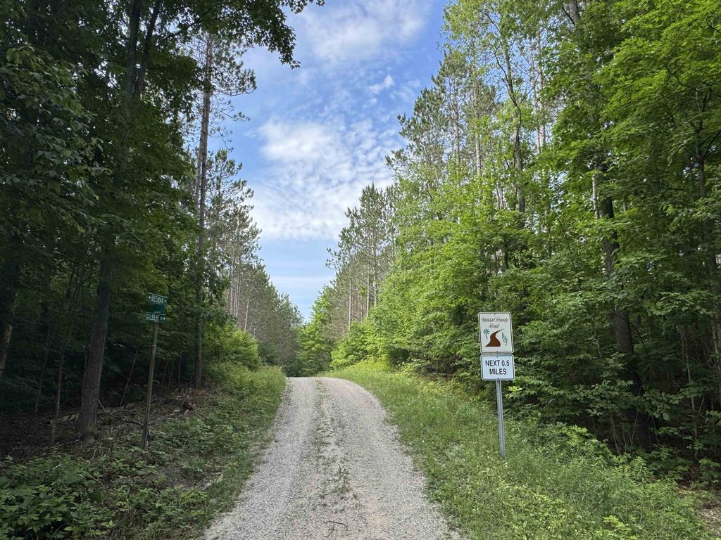 00 W Beeman Rd, Kasson township