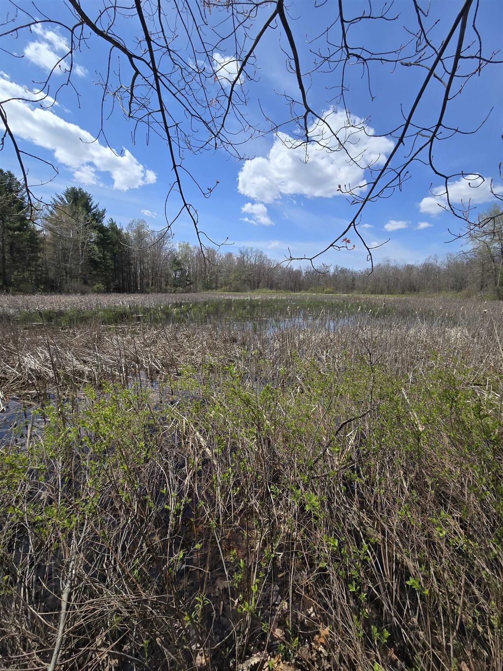Tbd E Baseline, Big Prairie township