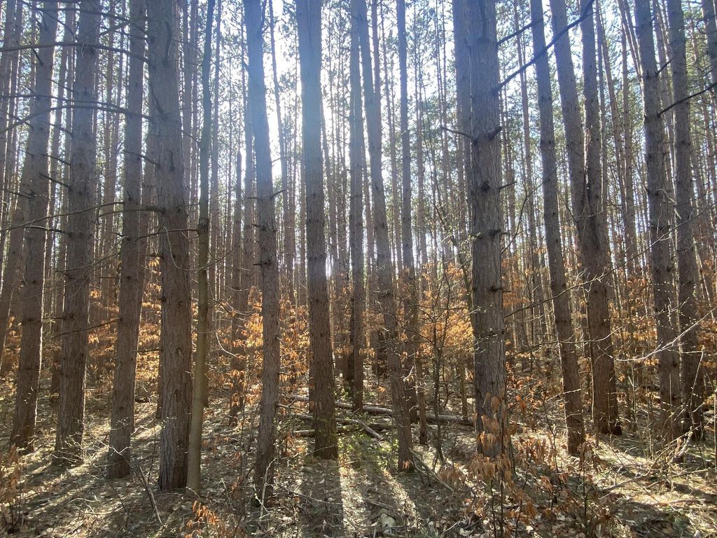 Deer Run, Slagle township