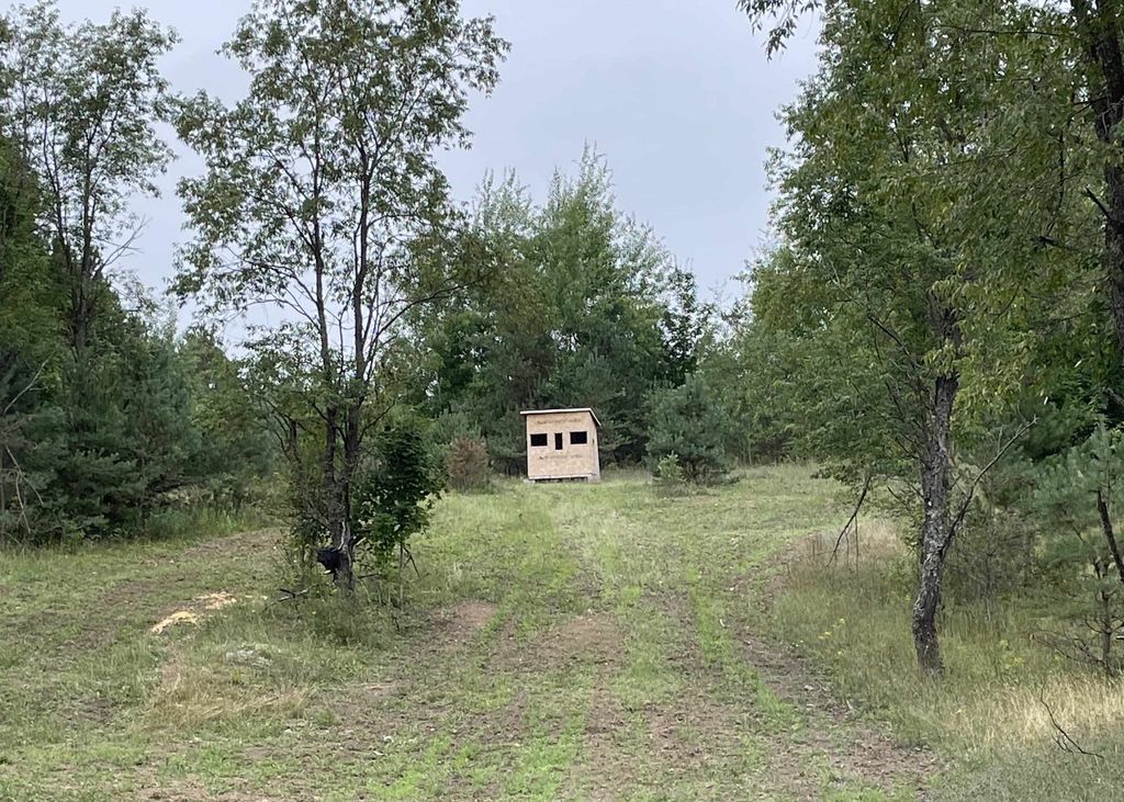 00 V/l Peterson, Custer township
