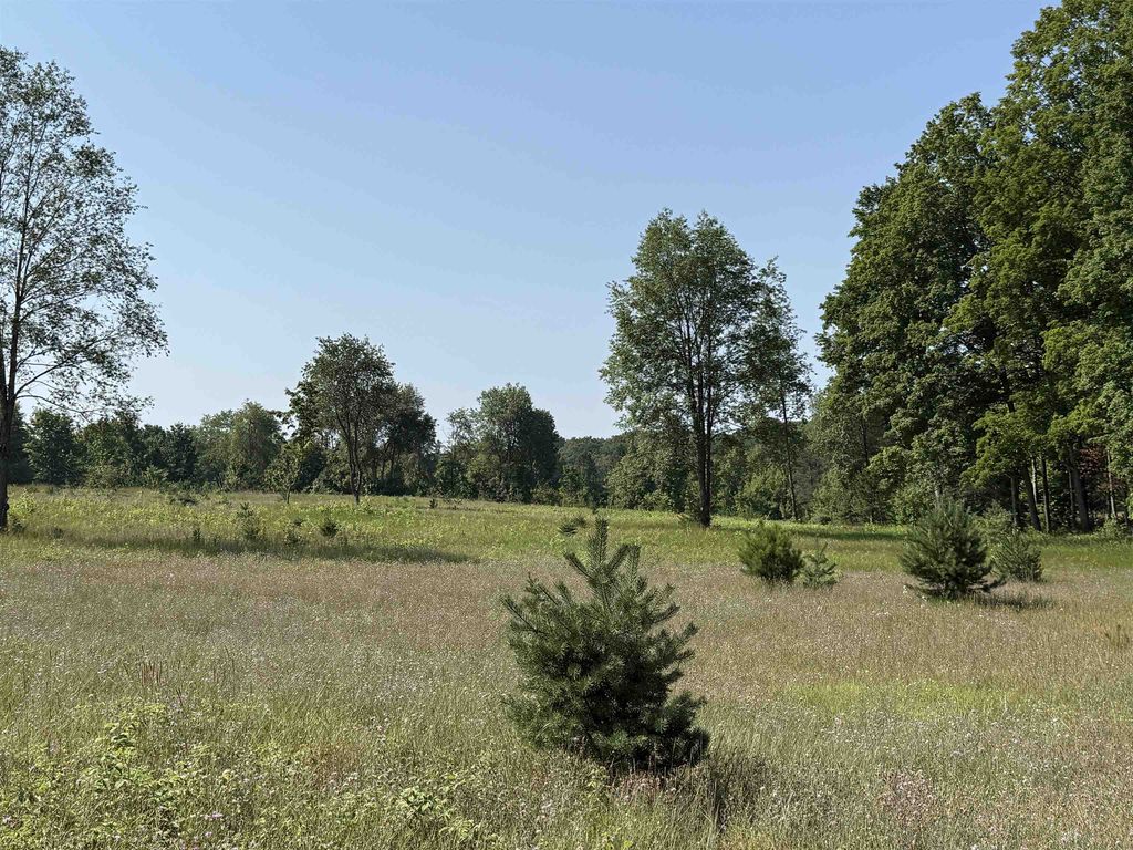 Parcel A 6 S Bright, Kasson township