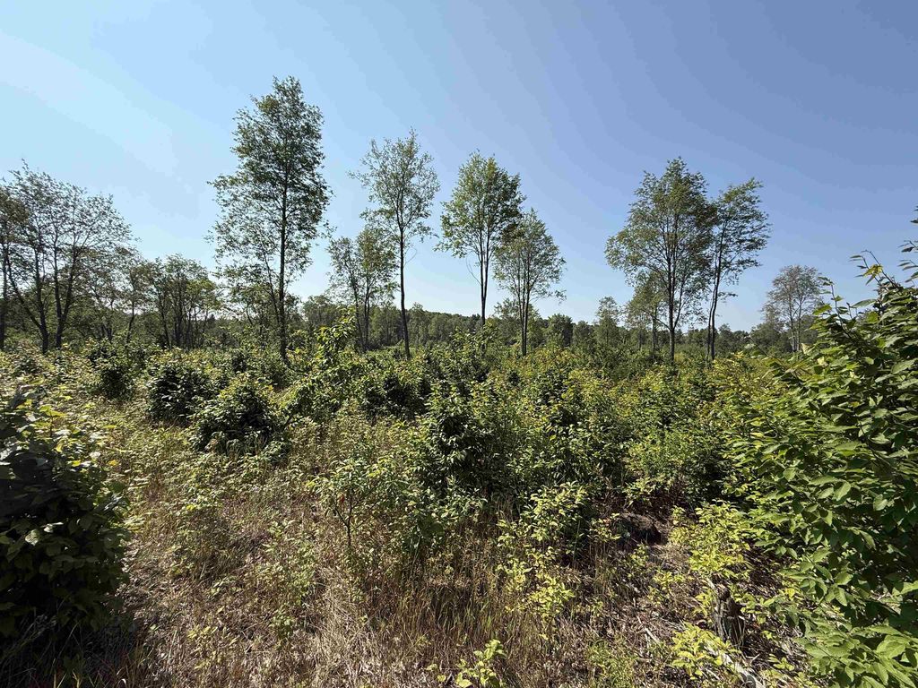 Parcel A 3 E Kasson, Kasson township