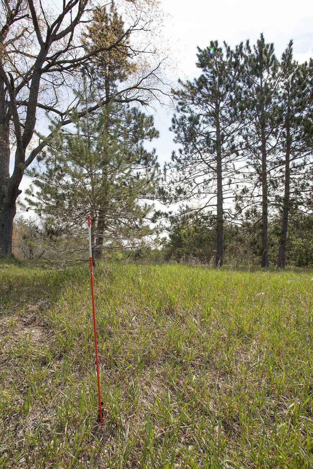 0002 M-66 Se, Garfield township