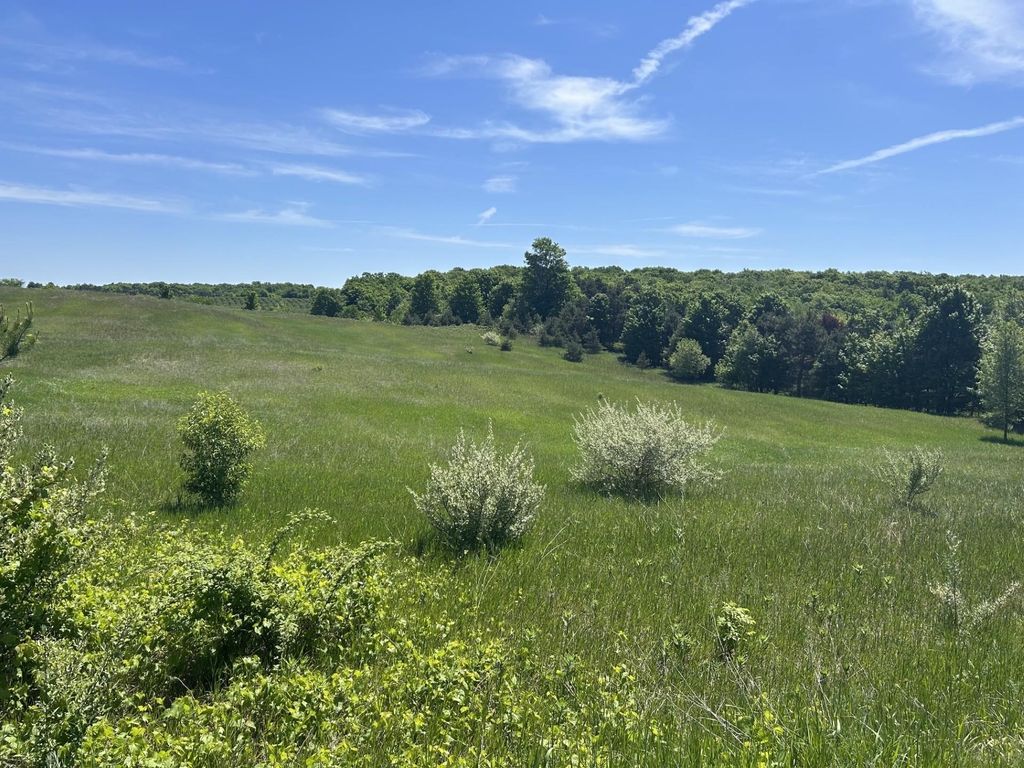 00 Maple Valley, Bingham township