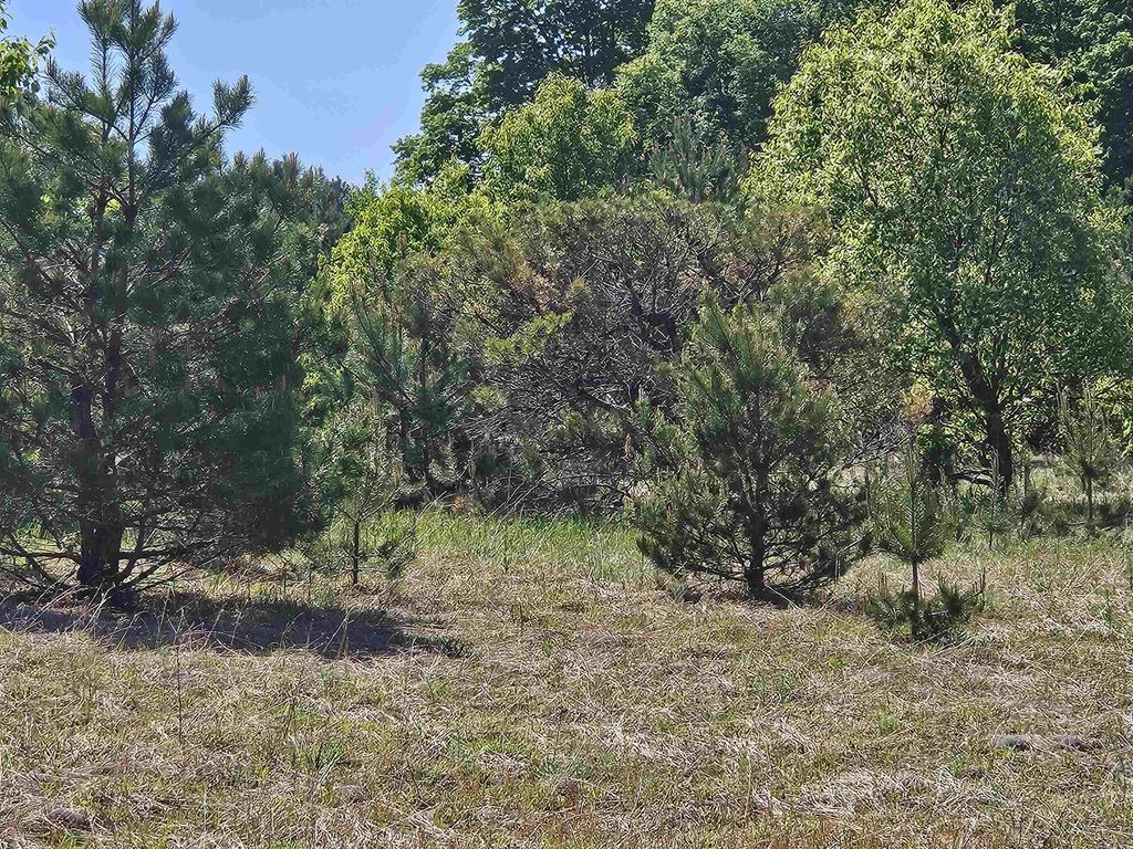 V/l Parcel C Se Grass Lake, Excelsior township