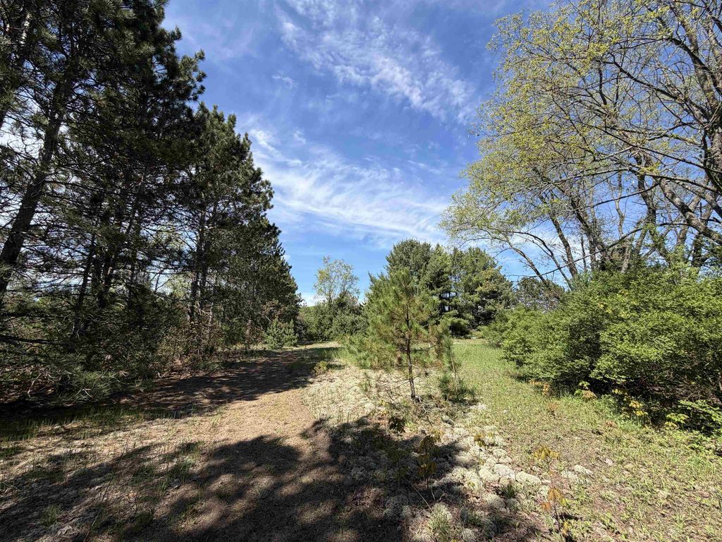 13158 Cinder Rd, Homestead township