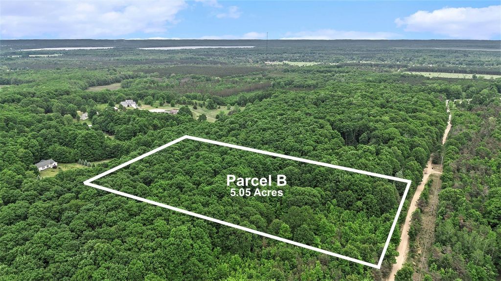 V/l Parcel B Lamerson, Inland township