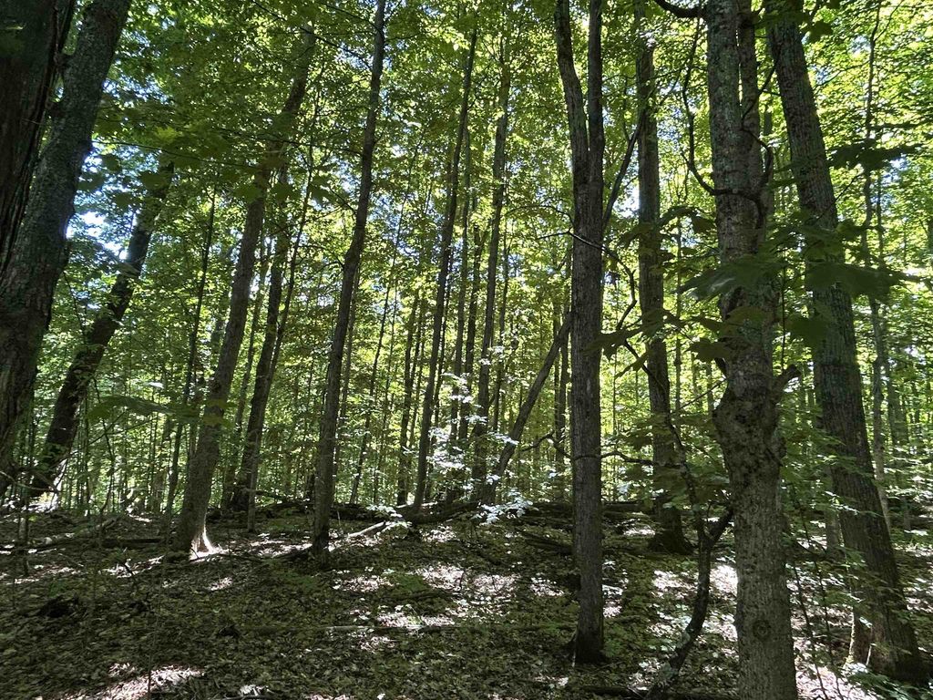 Lot 129 Troon South, Kearney township