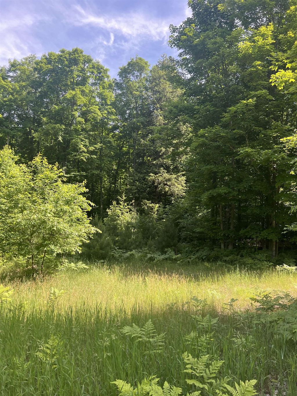 Parcel K O'dell Rd, Whitewater township