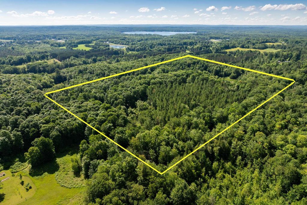 000 Lake, Fife Lake township