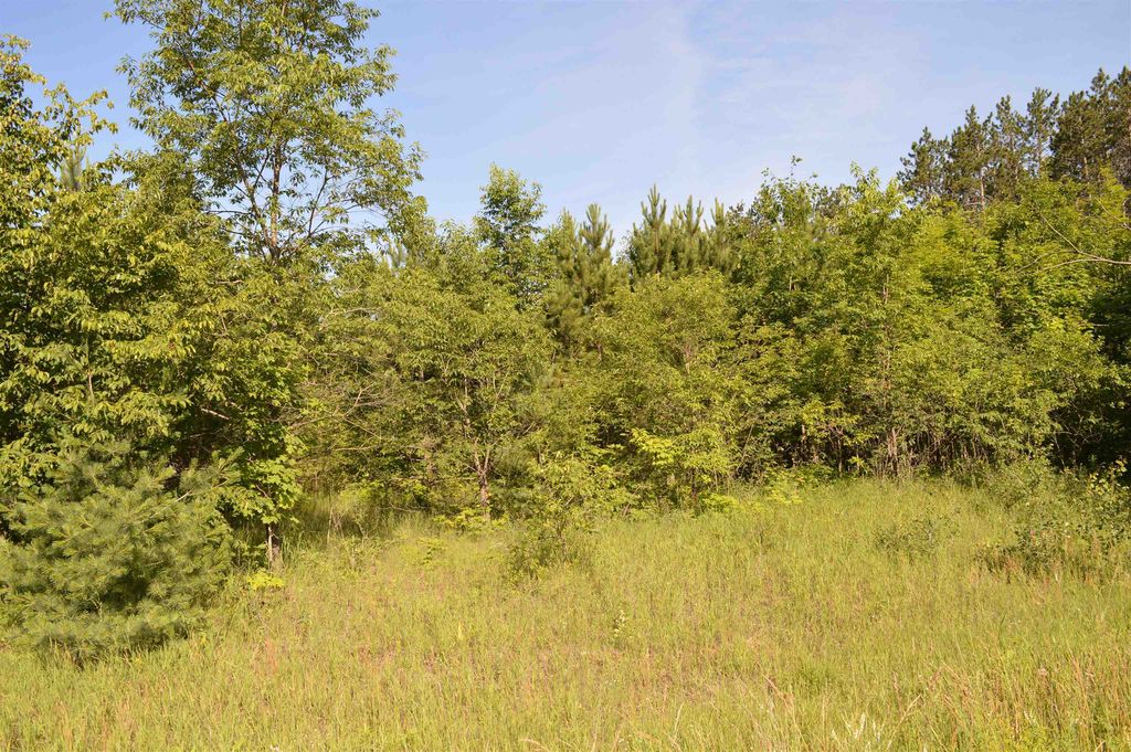 Ne Holly, Rapid River township