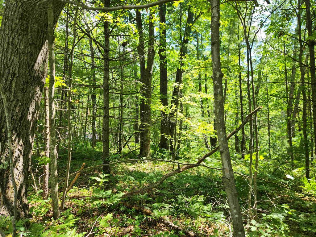 000 Bradley, Bear Lake township