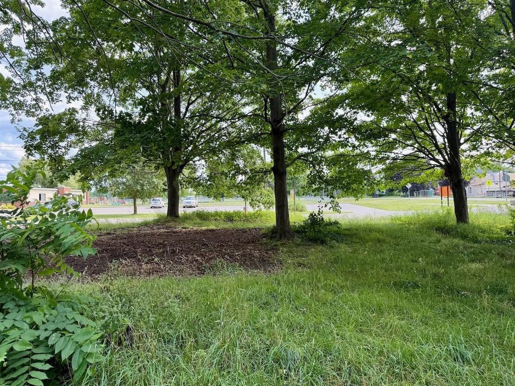Lot 30 Buckley, Elk Rapids township