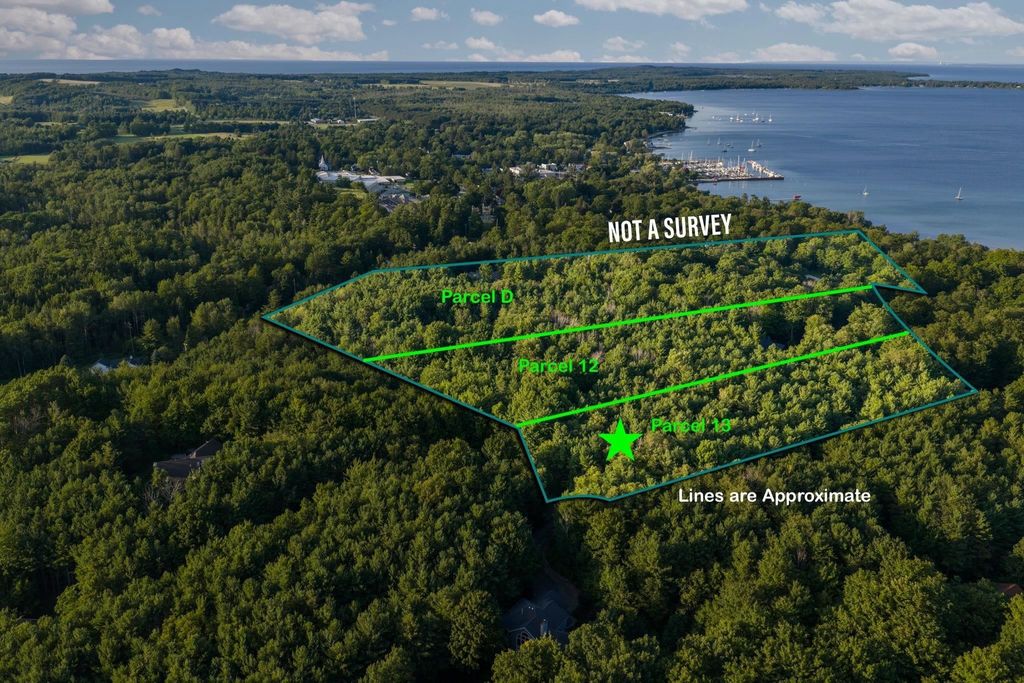 Parcel 13 N Vincer, Leelanau township
