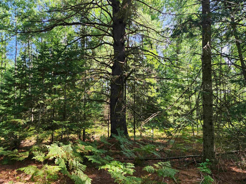 10 Acres Christie Dr, Orange township