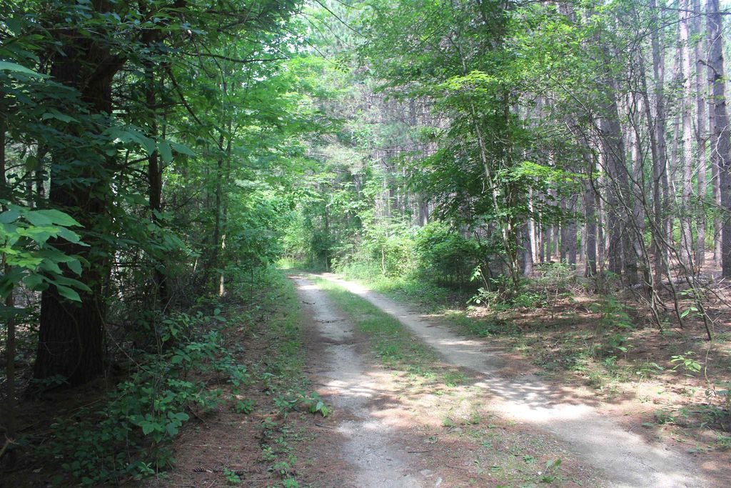 0 Whitefish Trl, Torch Lake township