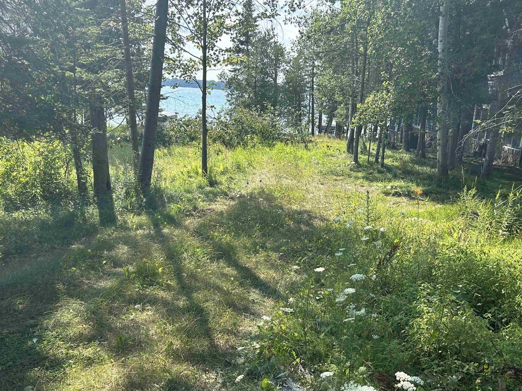 Lots 5 & 20 Wak Wing, Central Lake township
