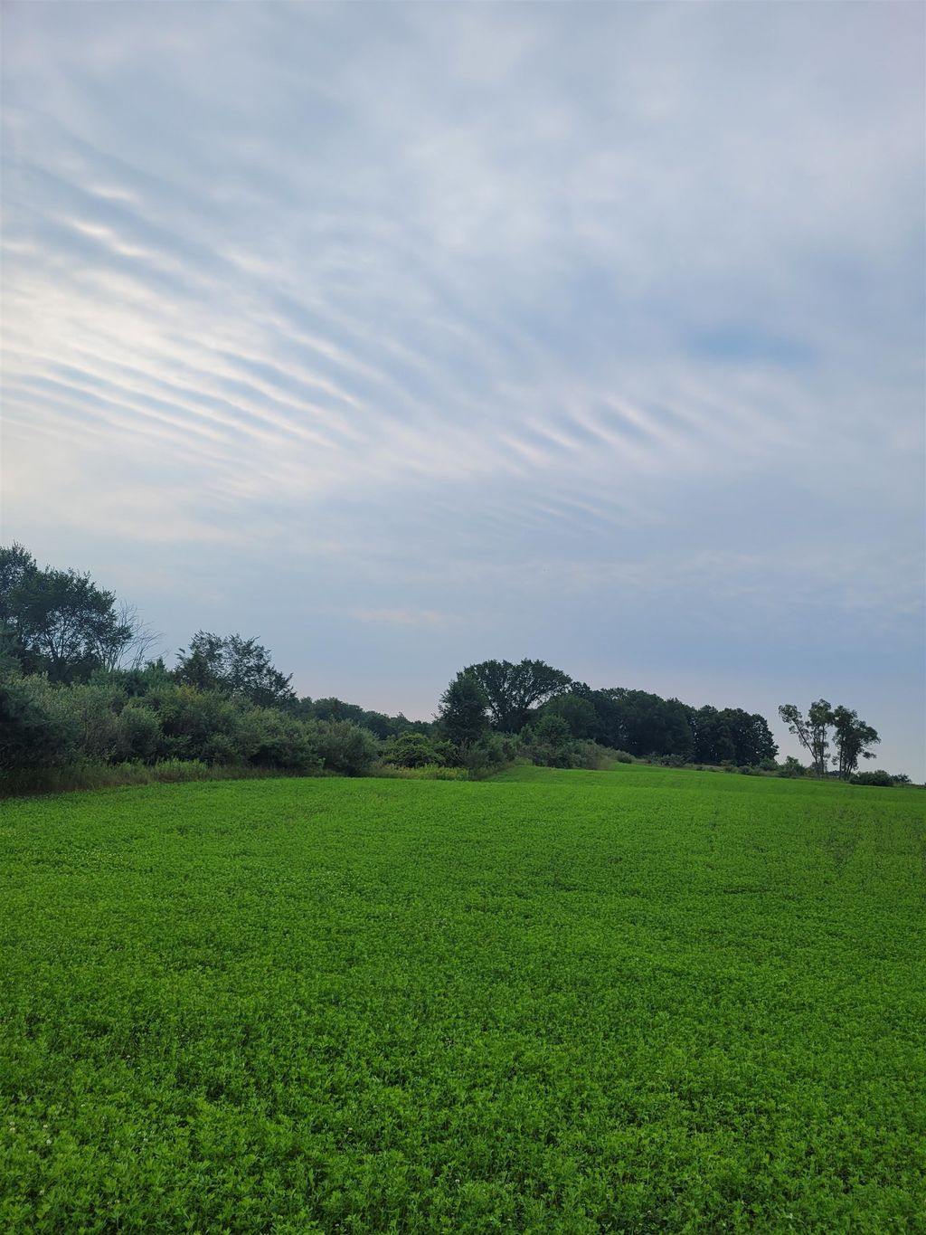 V/l N Cook, Winterfield township