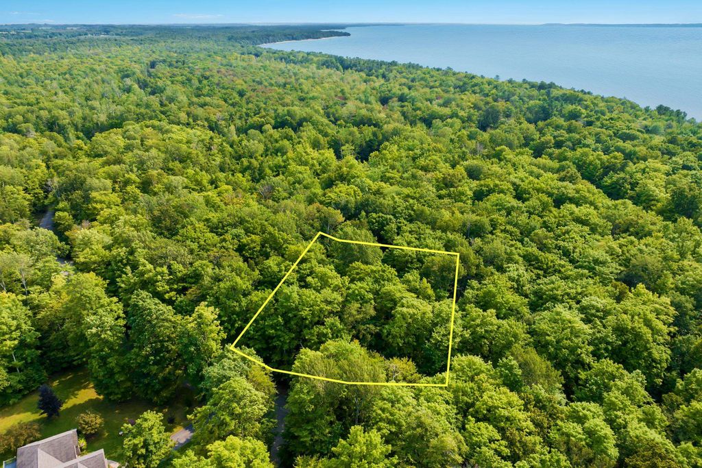 #9 Aspen Trl, Torch Lake township