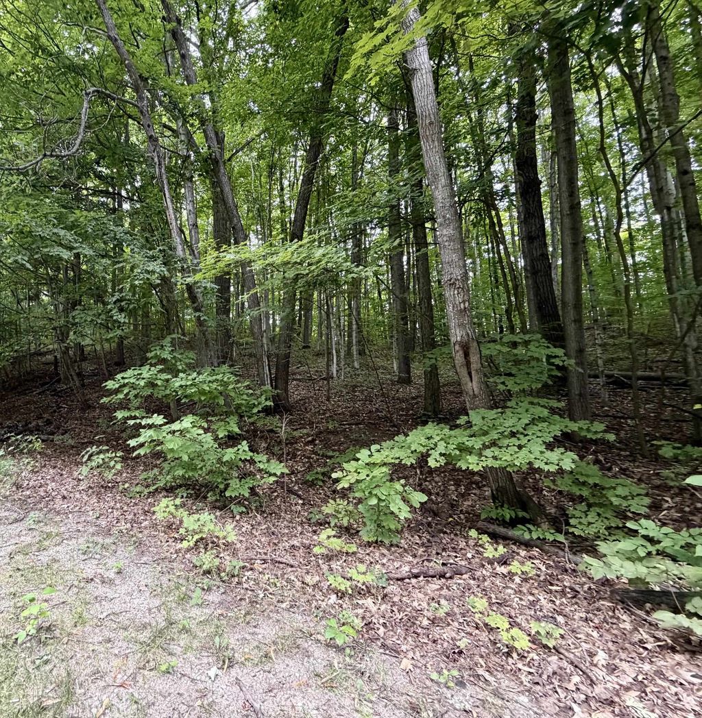 0000 Wasservalden, Custer township