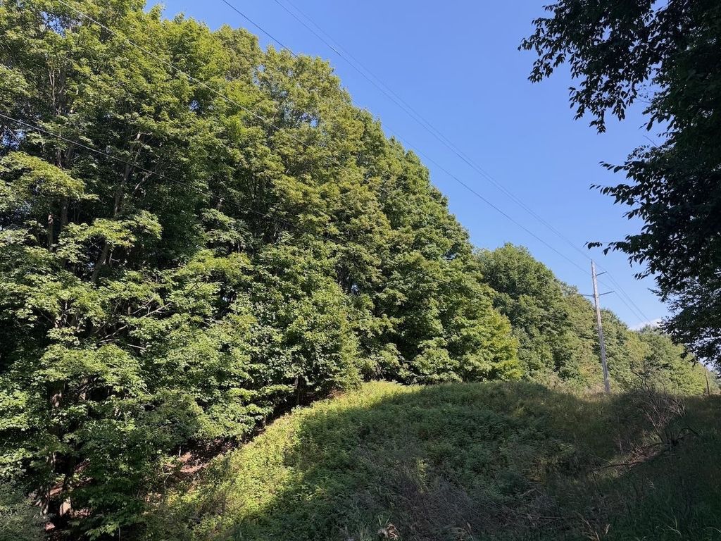 Unit 14 Ranch, Kearney township