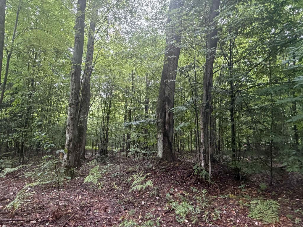 Demerly Rd, Joyfield township