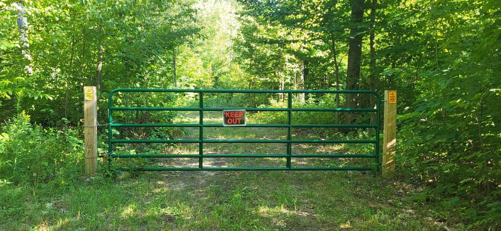 Tbd Bocook, Mancelona township
