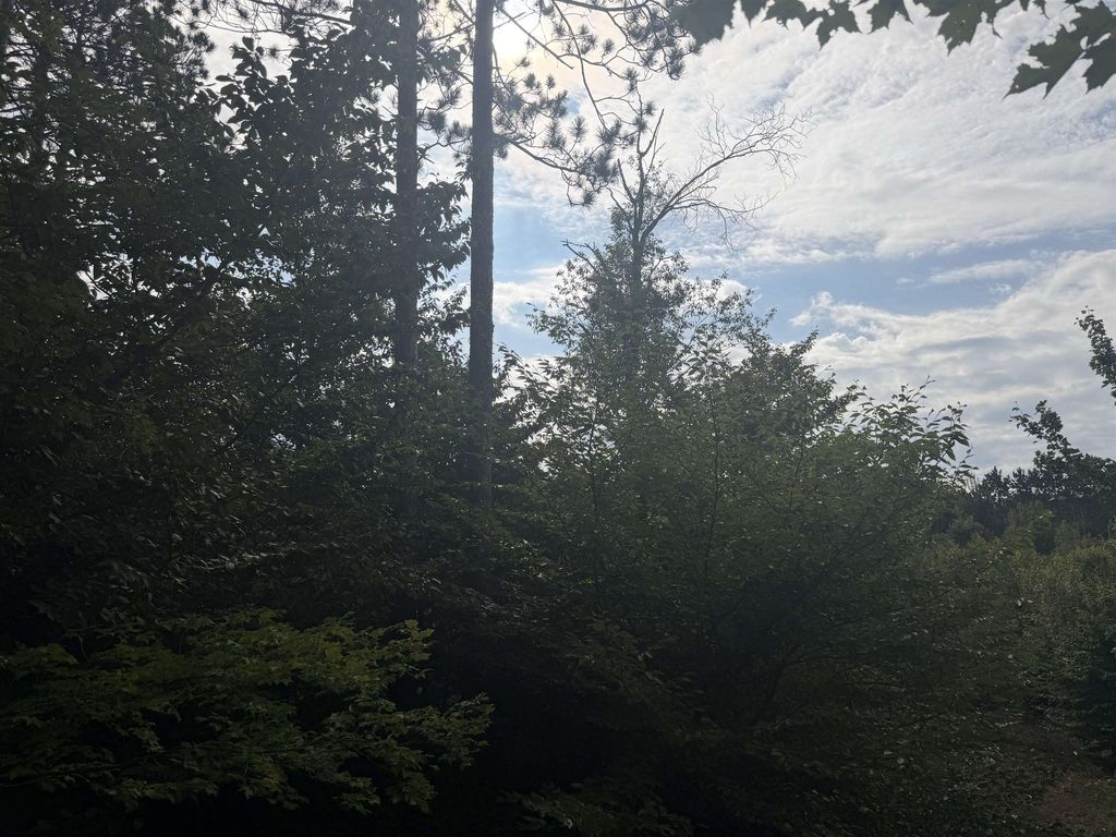 0000 King, Joyfield township