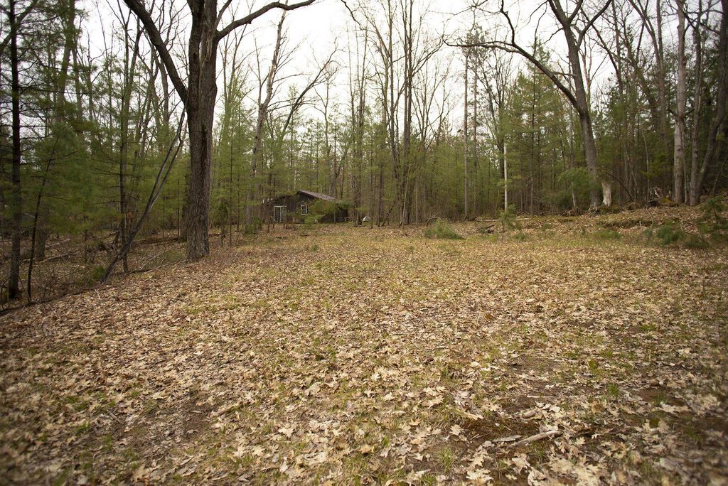 00 Ne Bailey, Bear Lake township