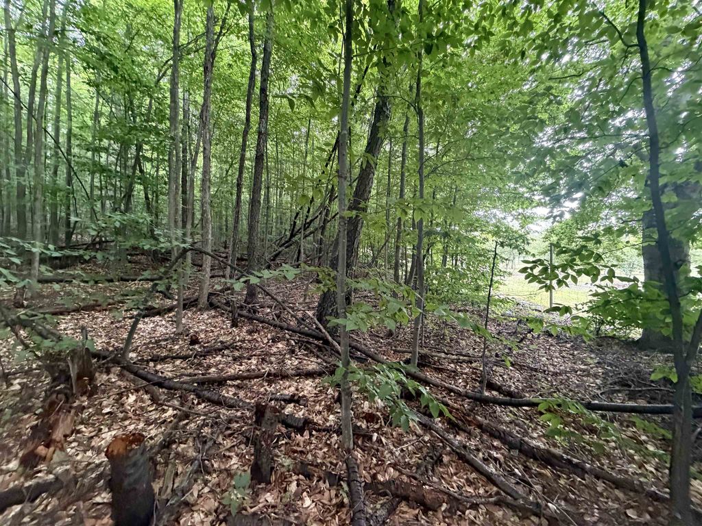 000 Lincoln Rd, Benzonia township