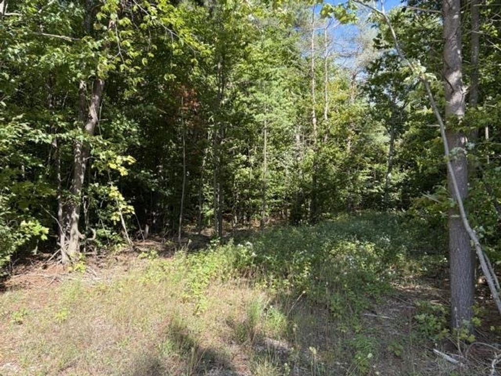 000 Paradise Ridge, Almira township