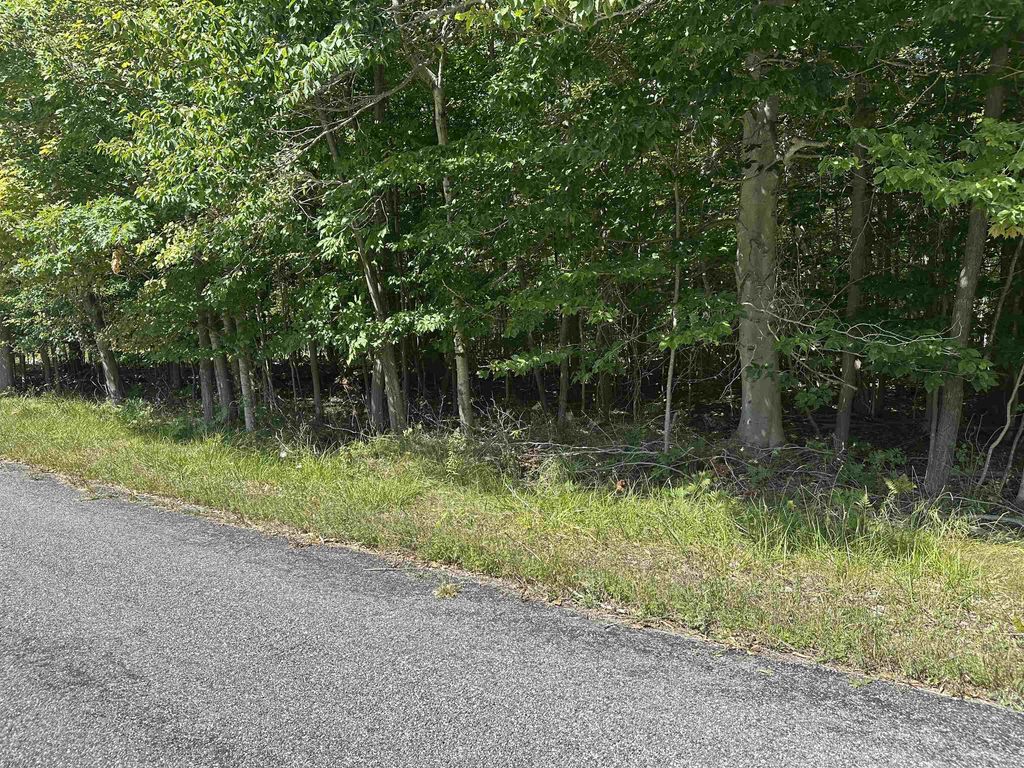 Lots 33, Kewadin