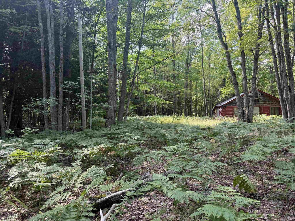 11712 Henschell, Fife Lake