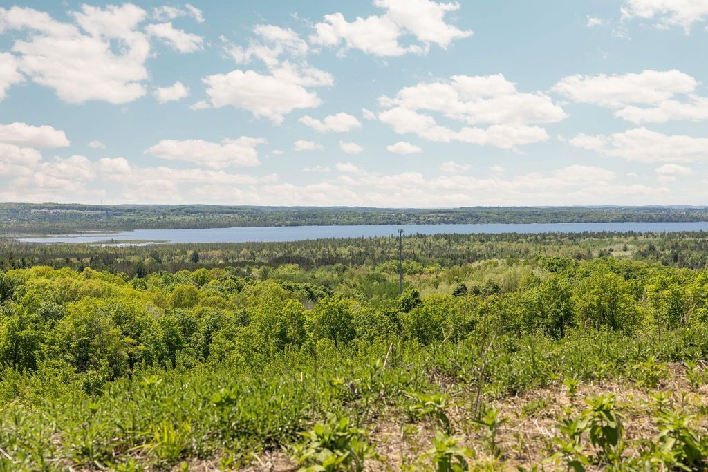22.55 Acres Retreats, Rapid City