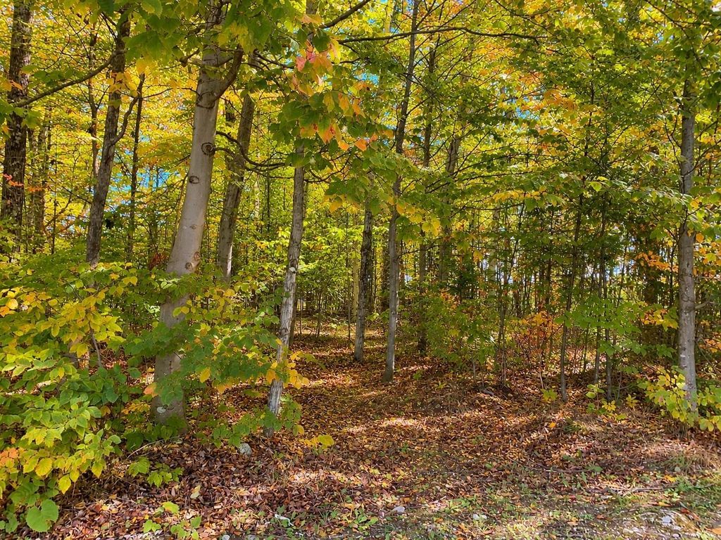 3930 Spruceview, Mackinac Island
