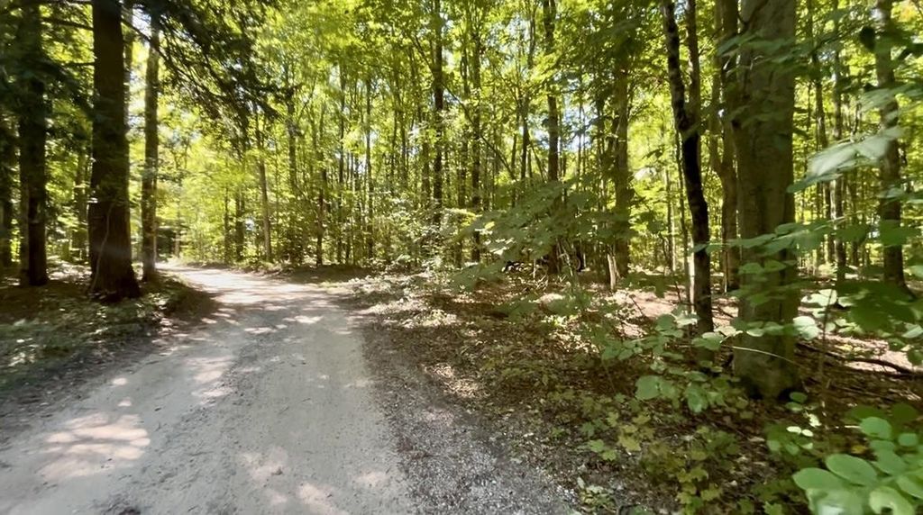 00 Langs Ln, Interlochen