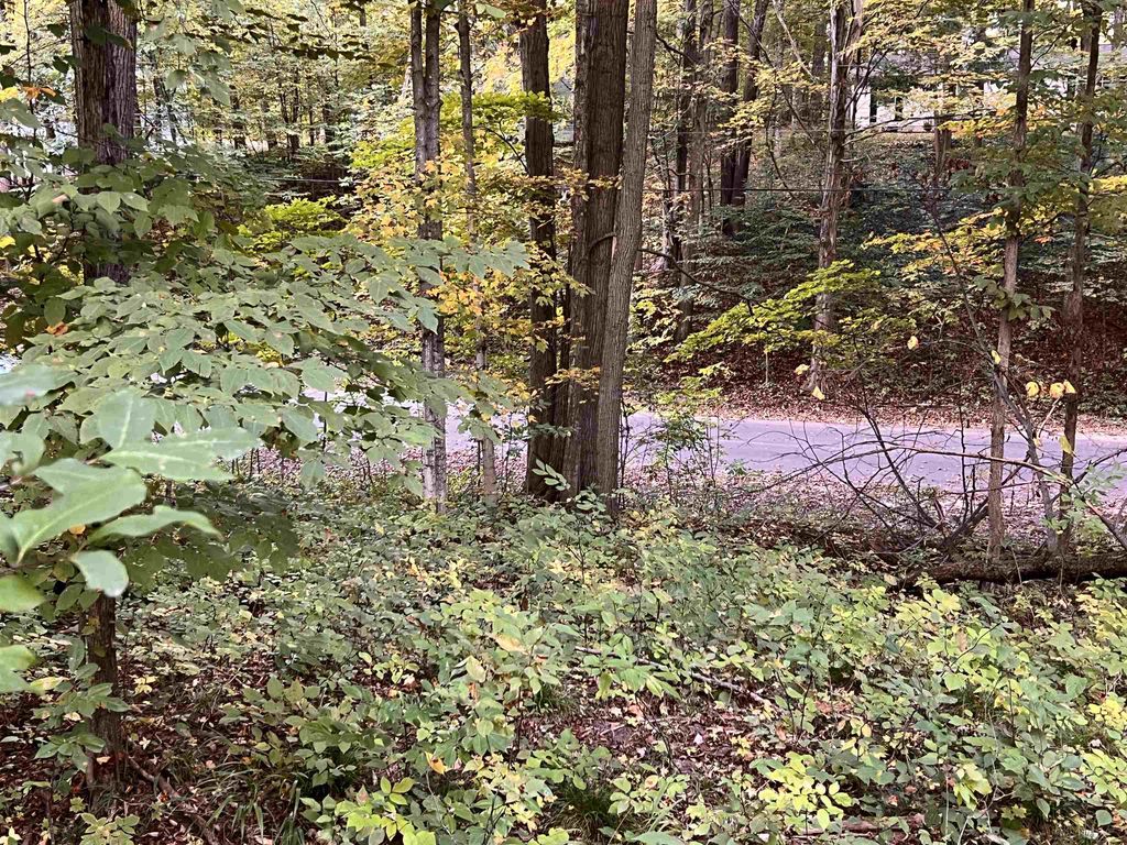Lot 71 Birch View, Lake Ann