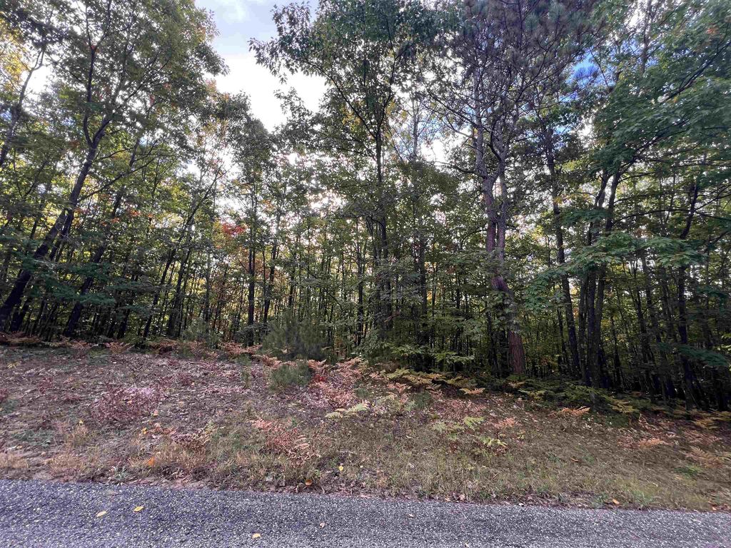 Lot 53 Bramblewood, Cadillac