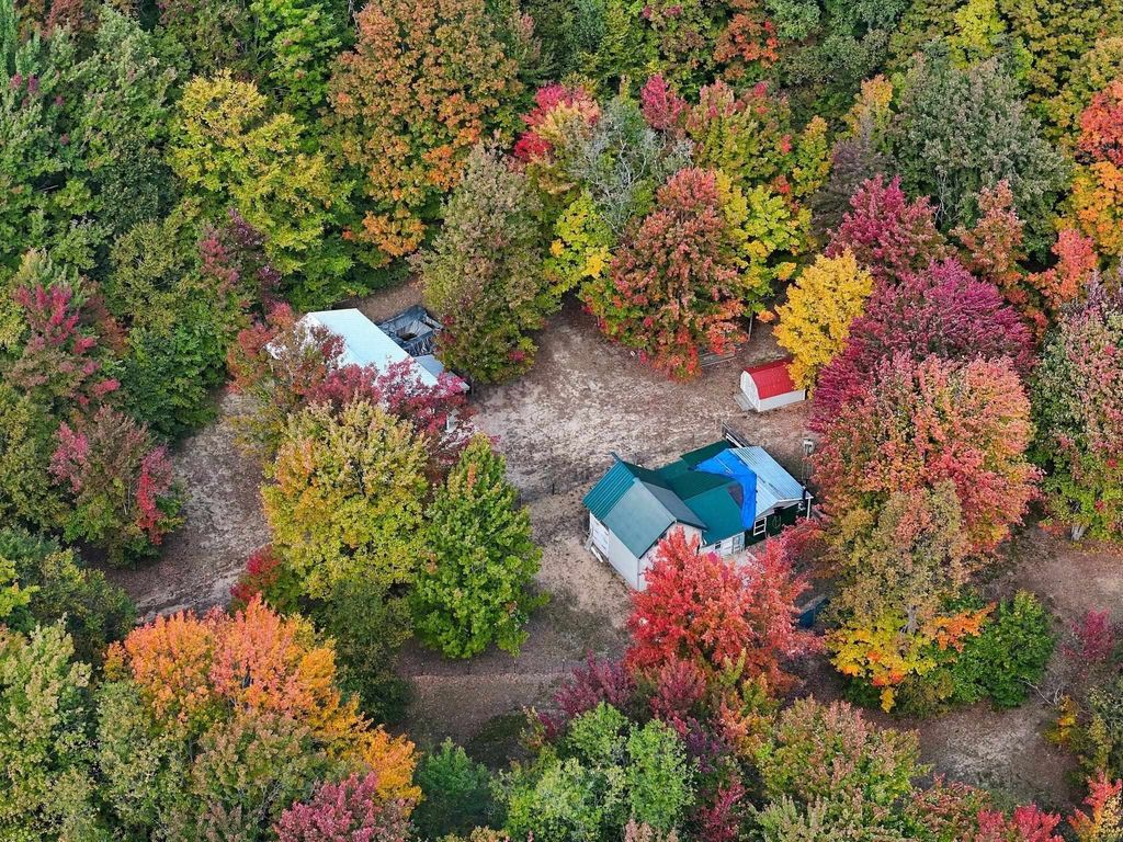 11096 Dirt Rd, Mesick