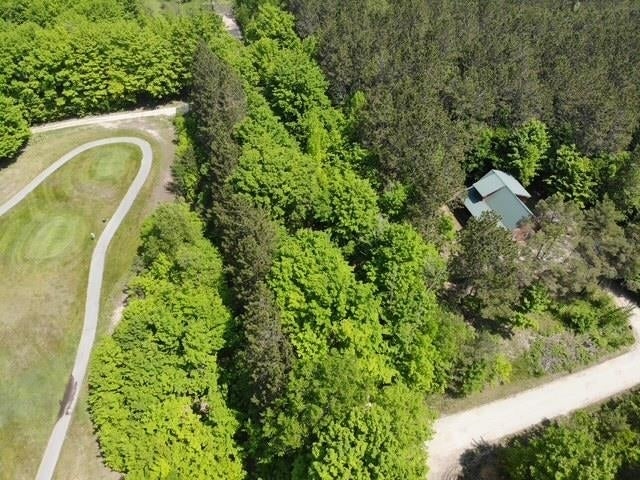 Lot 1 Hagni, Excelsior township