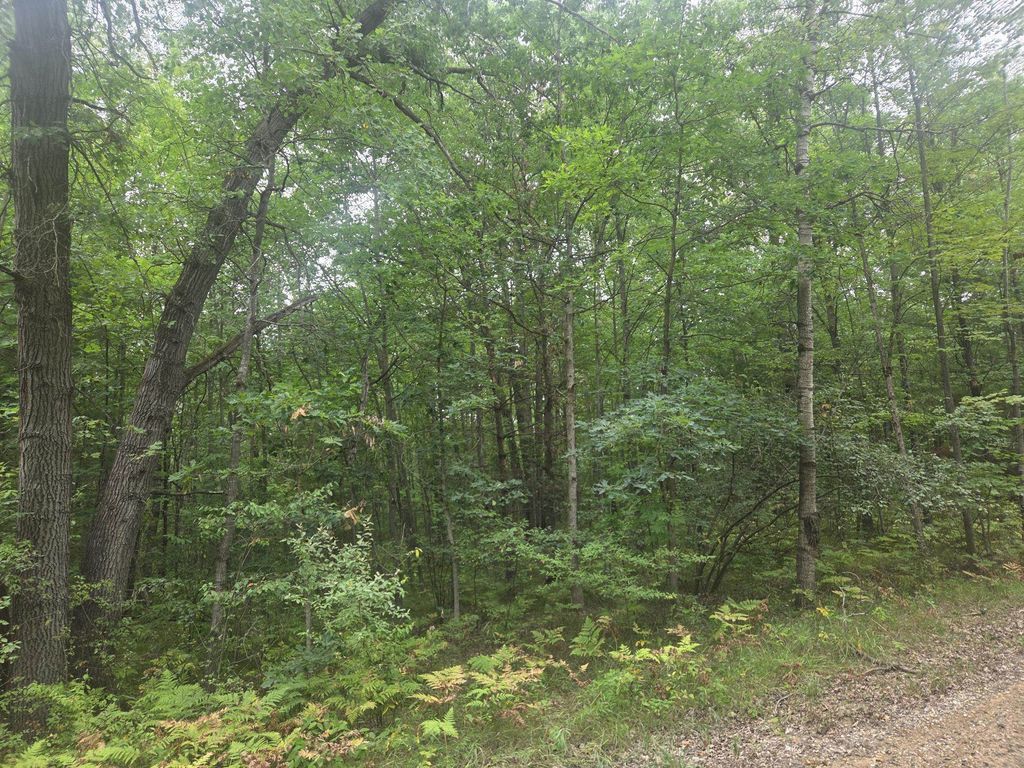 7873 Wild Oaks, Sherman township