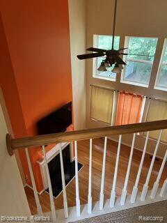 33540 Birchlawn, Westland city